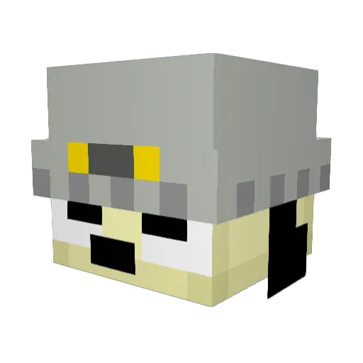 fartsmella984375 Minecraft avatar head, 3D render