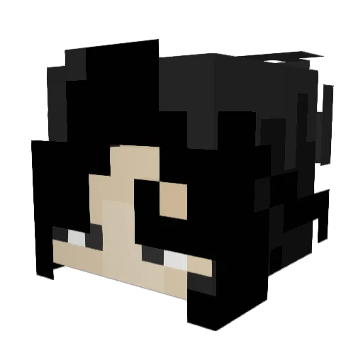 fartstinker72 Minecraft avatar head, 3D render