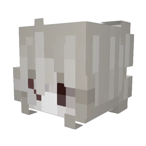 fartyfortnite500 Minecraft avatar head, 3D render