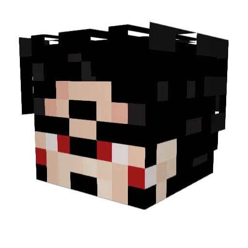 fartymgee Minecraft avatar head, 3D render