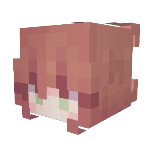 fartypants002 Minecraft avatar head, 3D render