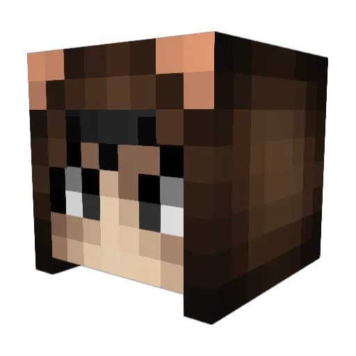 farver200 Minecraft avatar head, 3D render