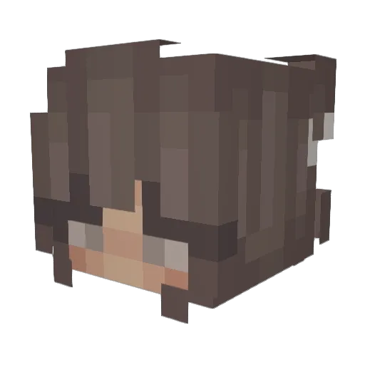 farzanax Minecraft avatar head, 3D render