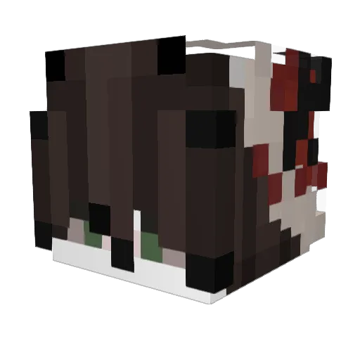 farzzi111 Minecraft avatar head, 3D render