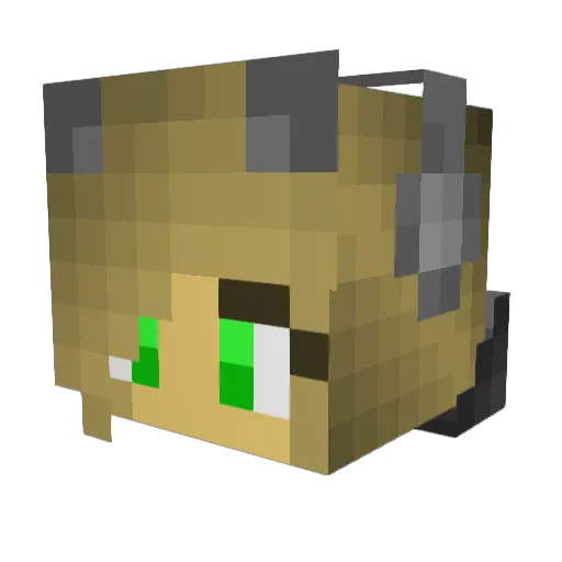fassx8510 Minecraft avatar head, 3D render