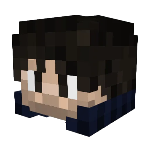 fastPvPkK_ Minecraft avatar head, 3D render