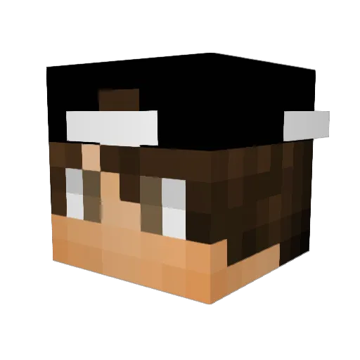 fastball44 Minecraft avatar head, 3D render