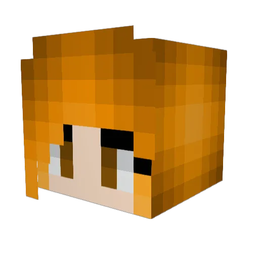 fastbuffalo8656 Minecraft avatar head, 3D render