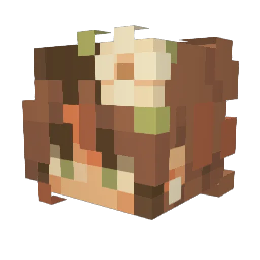 fastcas2211 Minecraft avatar head, 3D render