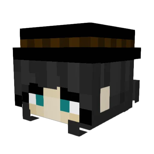 fastcheetah60 Minecraft avatar head, 3D render