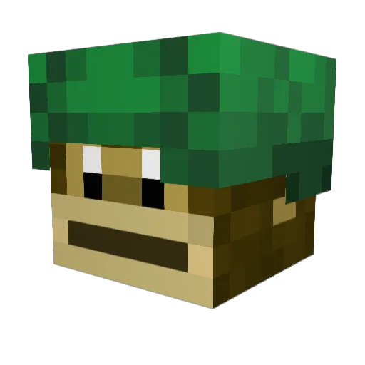 faster_oogway Minecraft avatar head, 3D render