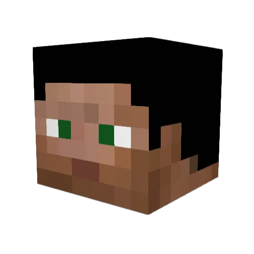 fastfishboy Minecraft avatar head, 3D render