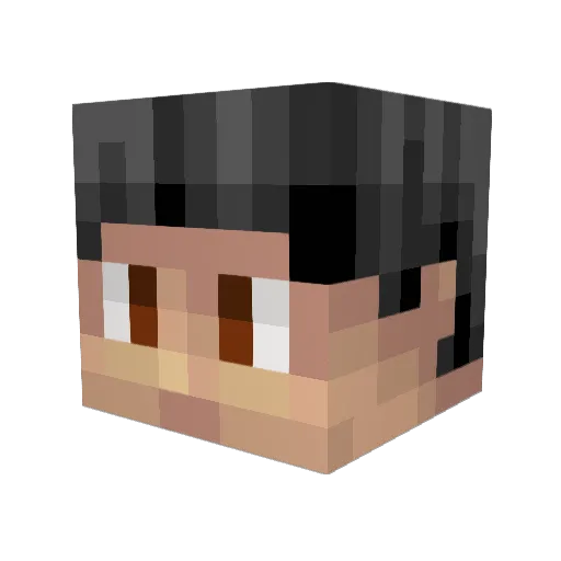 fastflight21 Minecraft avatar head, 3D render