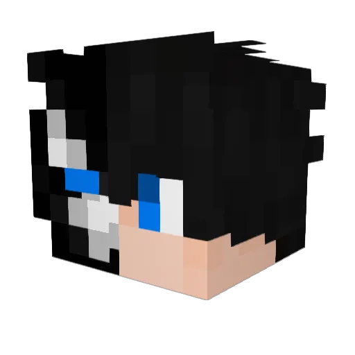 fastfocus Minecraft avatar head, 3D render