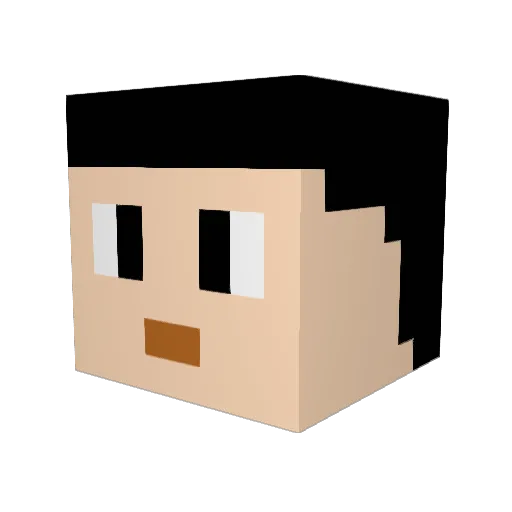 fastfoodsworker Minecraft avatar head, 3D render