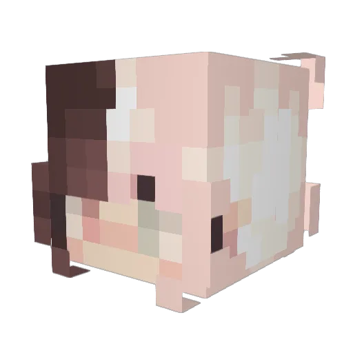 fastlyRei Minecraft avatar head, 3D render
