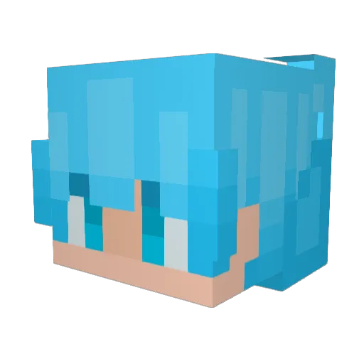 fastmode Minecraft avatar head, 3D render