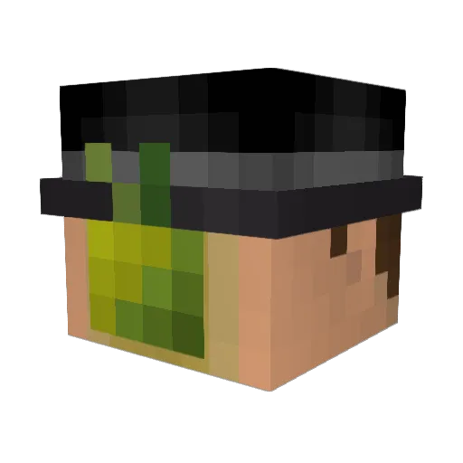 fastpet Minecraft avatar head, 3D render