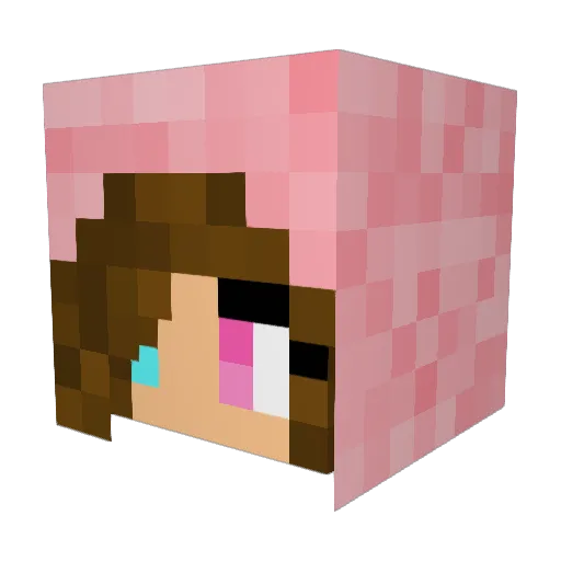 fastpitchhitter Minecraft avatar head, 3D render