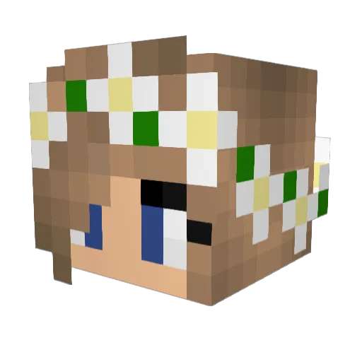 fastrunner12 Minecraft avatar head, 3D render