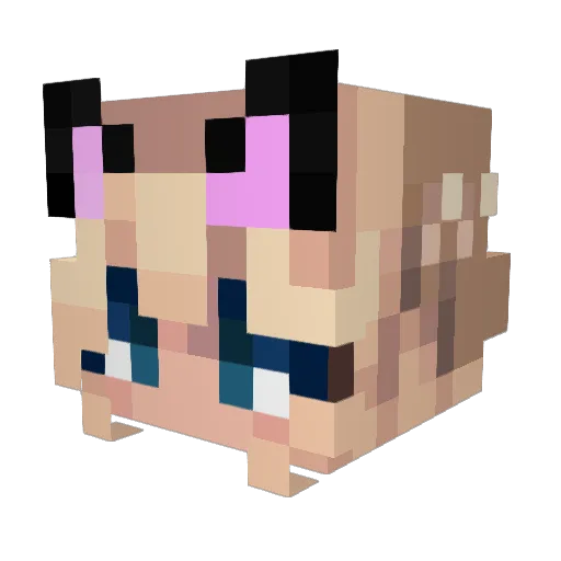 fastswimmy Minecraft avatar head, 3D render