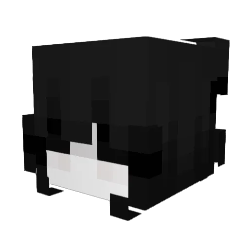 fasttplace Minecraft avatar head, 3D render