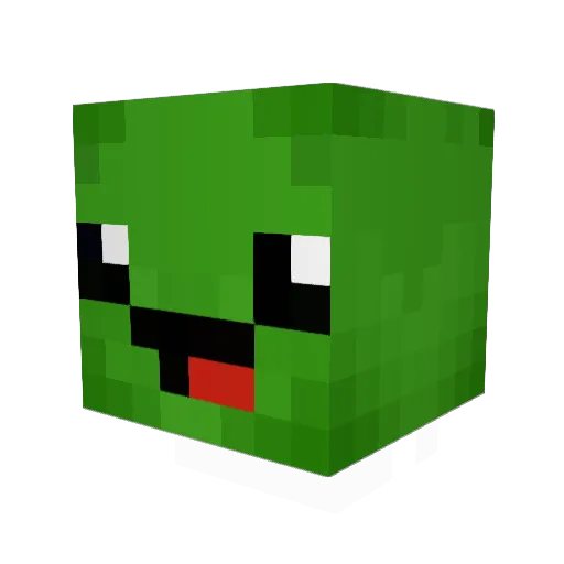 fastturtle0733 Minecraft avatar head, 3D render