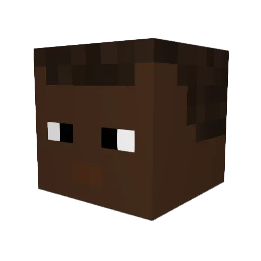fastwolf24 Minecraft avatar head, 3D render