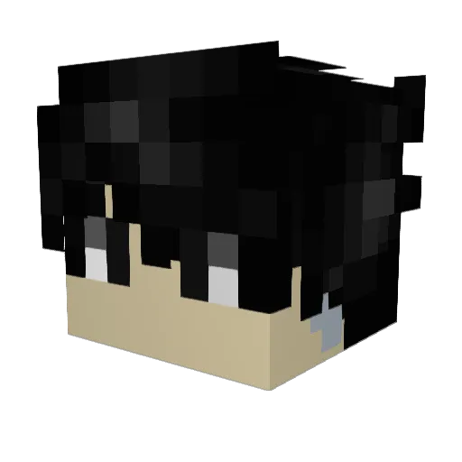 fastyy0 Minecraft avatar head, 3D render