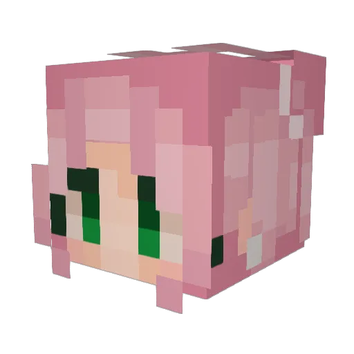 fatSQUIRREL72 Minecraft avatar head, 3D render