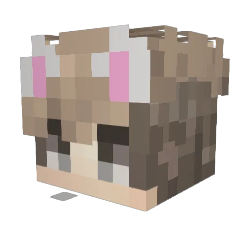 fat_ducc Minecraft avatar head, 3D render