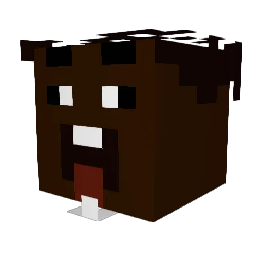 fat_racoon24k Minecraft avatar head, 3D render