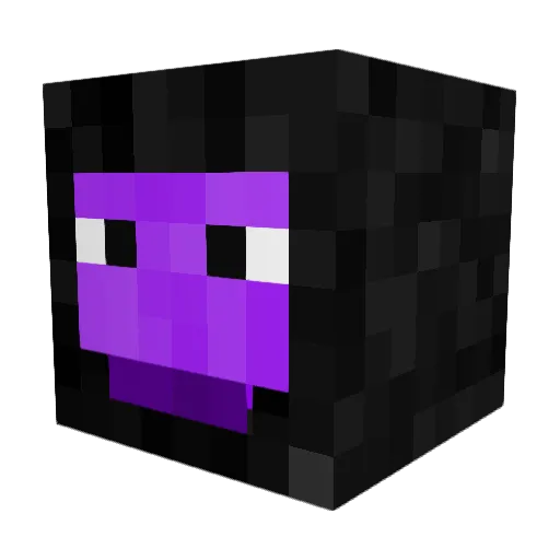 fat_sh1t Minecraft avatar head, 3D render
