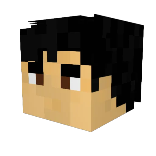 fatboy0606 Minecraft avatar head, 3D render