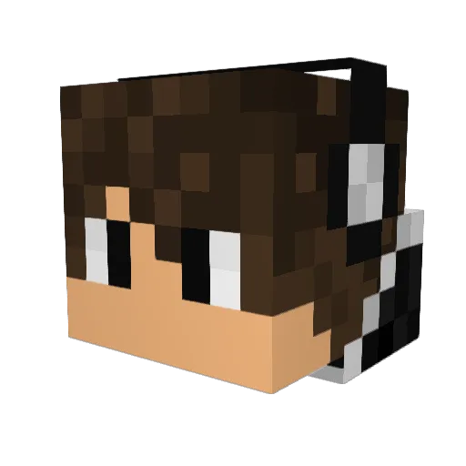 fatboy6111 Minecraft avatar head, 3D render