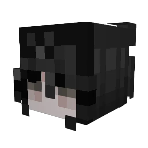 fatcabbage Minecraft avatar head, 3D render