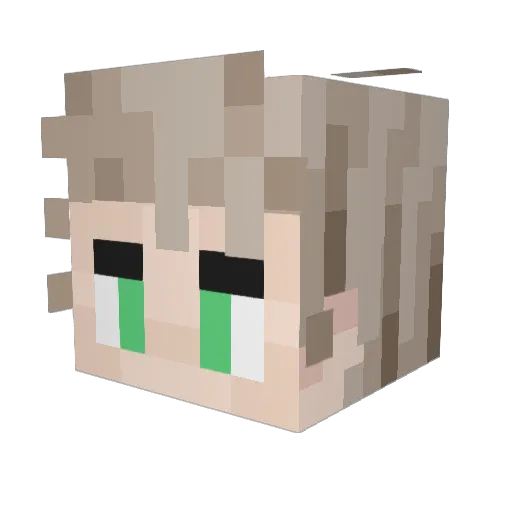 fatcat1229 Minecraft avatar head, 3D render