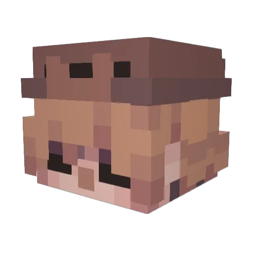 fatcatlife Minecraft avatar head, 3D render