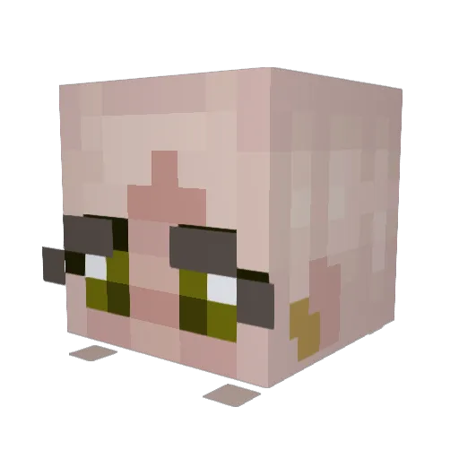 fatccat77 Minecraft avatar head, 3D render