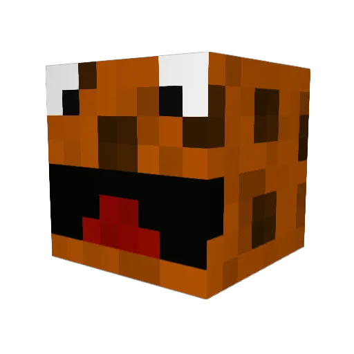 fatcookie20 Minecraft avatar head, 3D render