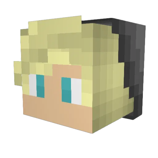 fatcupcake23 Minecraft avatar head, 3D render