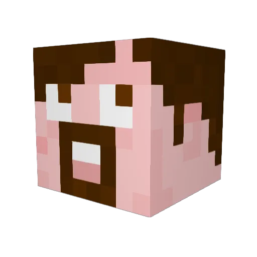 fatdaddybrowns Minecraft avatar head, 3D render