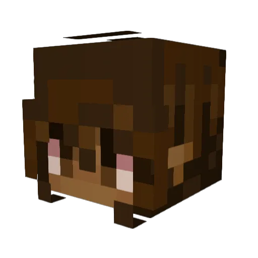 fatderpy Minecraft avatar head, 3D render