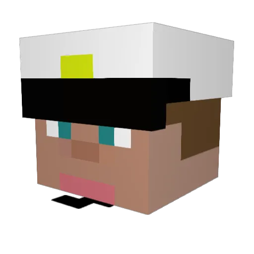 fatdog11 Minecraft avatar head, 3D render