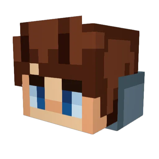 fatdonnylz Minecraft avatar head, 3D render