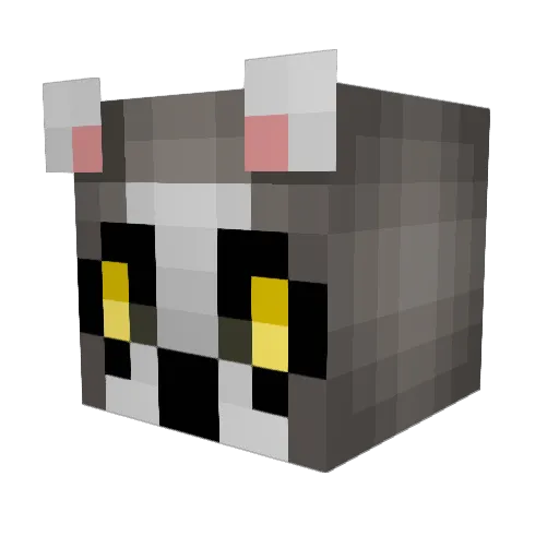 fatdounut07036 Minecraft avatar head, 3D render