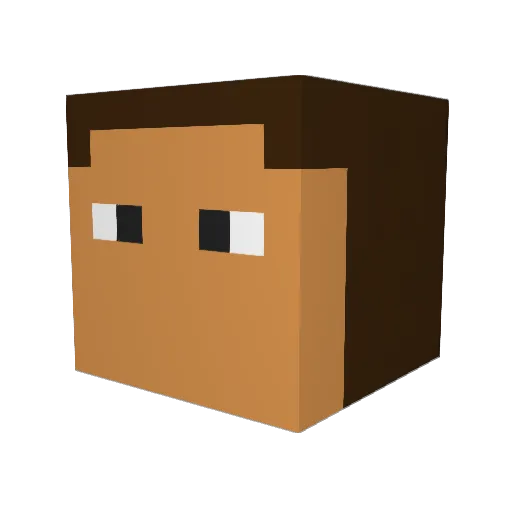 fatdude1231 Minecraft avatar head, 3D render