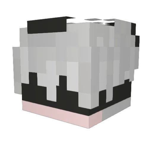 fate49 Minecraft avatar head, 3D render