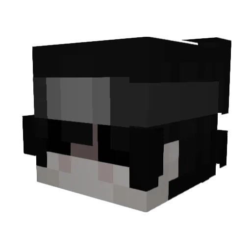 fate8007 Minecraft avatar head, 3D render