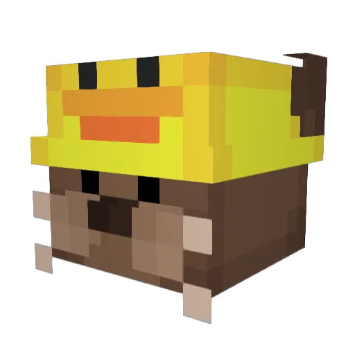 fatfairies Minecraft avatar head, 3D render